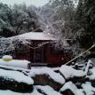 It does snow.